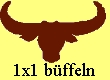 1X1A.JPG (8882 Byte)